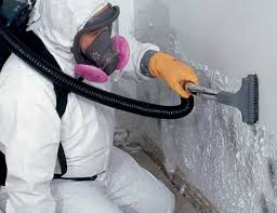 Best Mold Odor Removal Services  in Chandler, OK